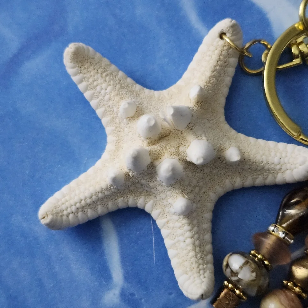 Starfish Purse Charm or Keychain Agate Stone Glass Shell Handcrafted